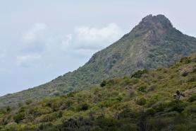 Curacao a přírodní rezervace Christoffel Park