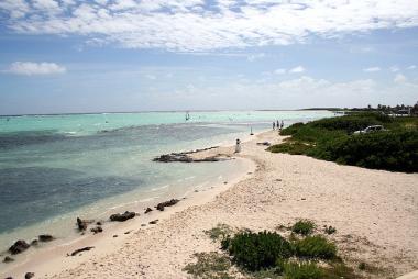 Pobřeží ostrova Bonaire, Karibik