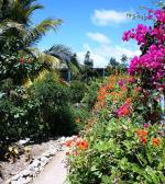 Ostrov Grand Cayman - Motýlí farma